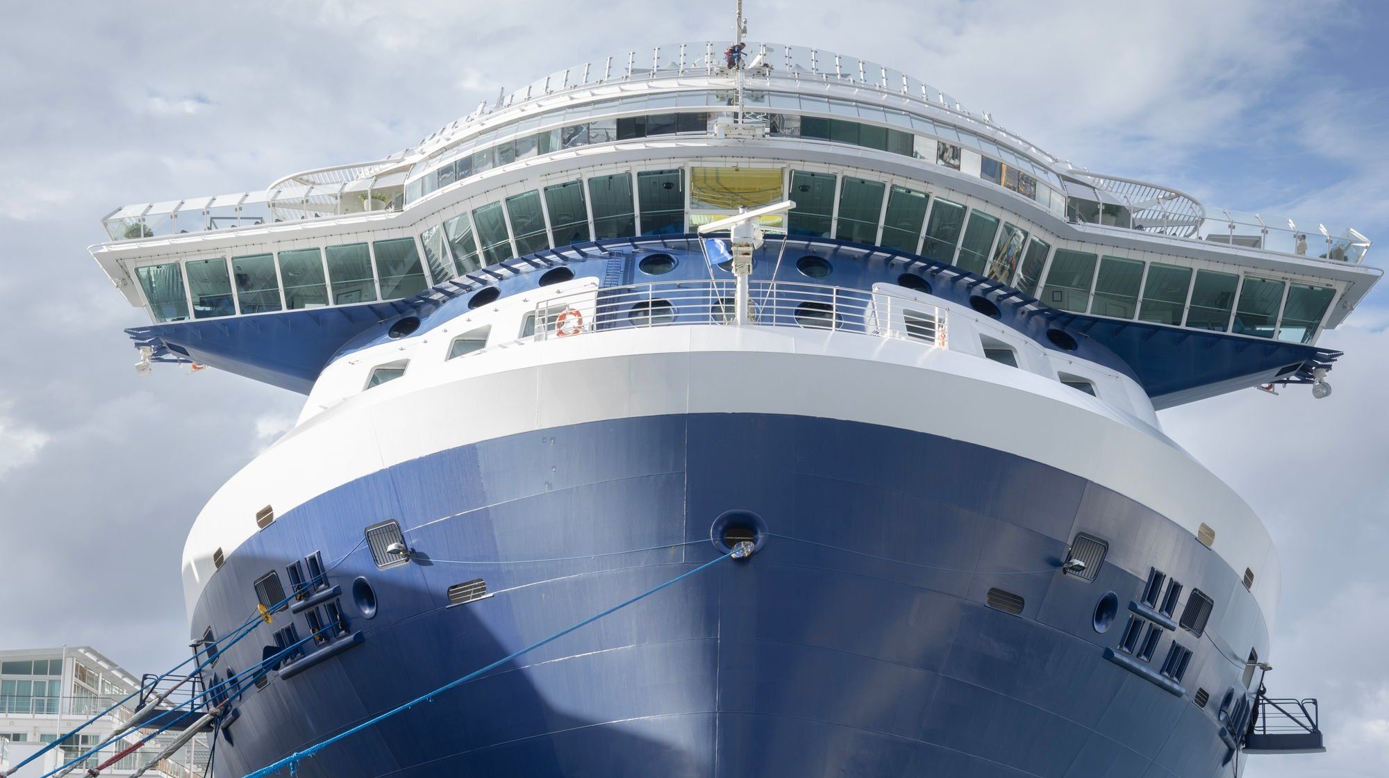 The blue-and-white bow of a cruise ship moored at a wharf on Auckland’s Waitematā Harbour